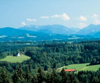 Bild: Taubenberg Richtung Alpen