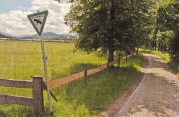 Bild Miesbach Nord